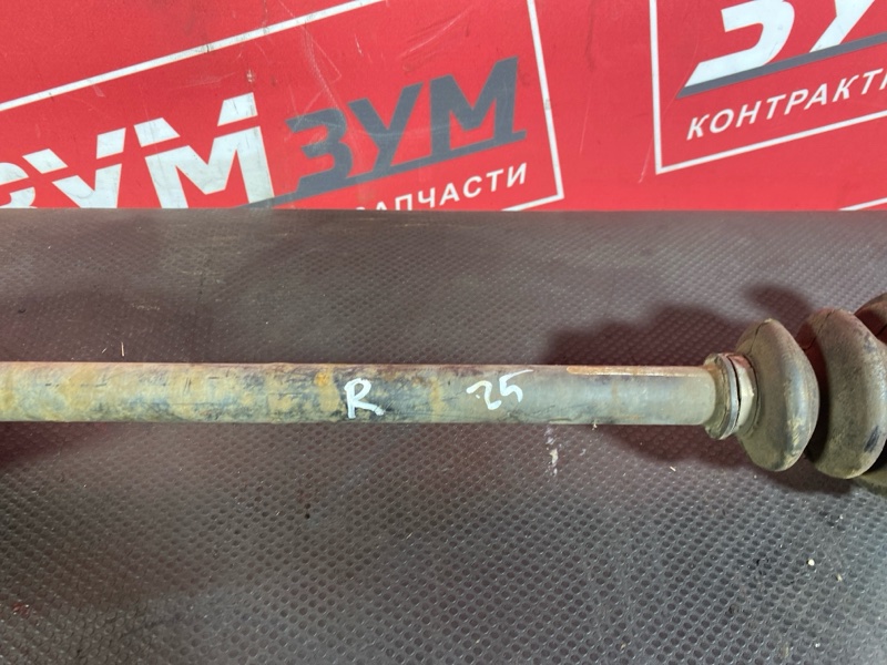 Привод, 2000 рублей, Солонцы