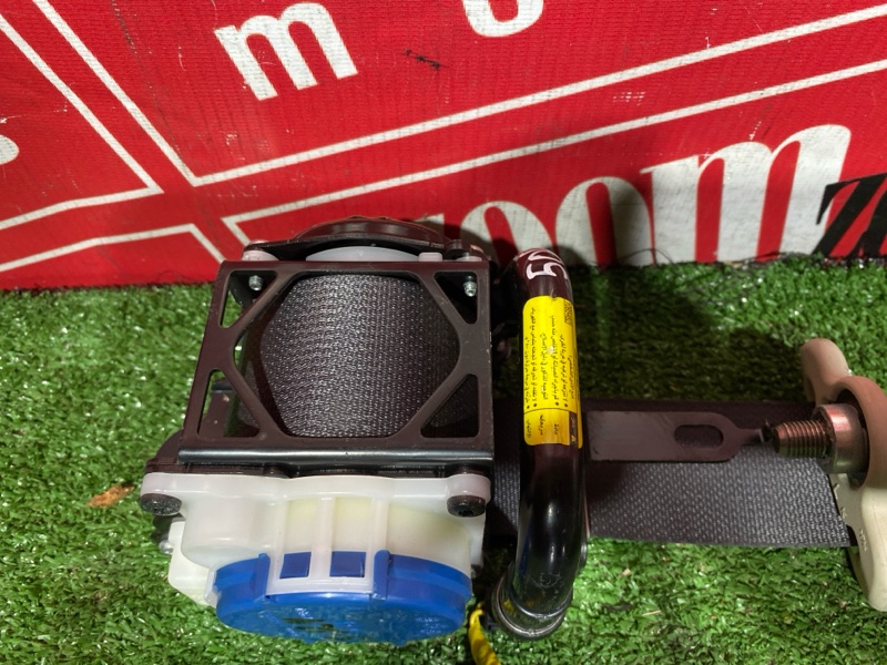 Ремень безопасности, 8000 рублей, Солонцы