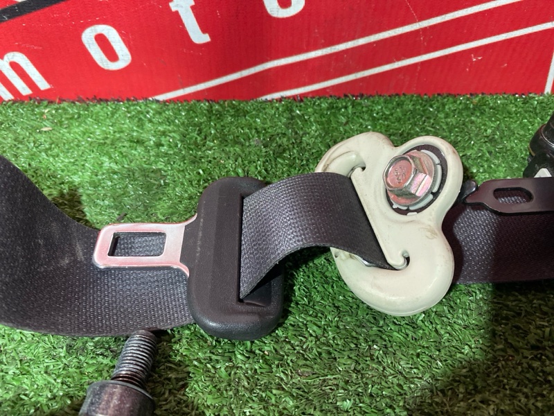 Ремень безопасности, 8000 рублей, Солонцы