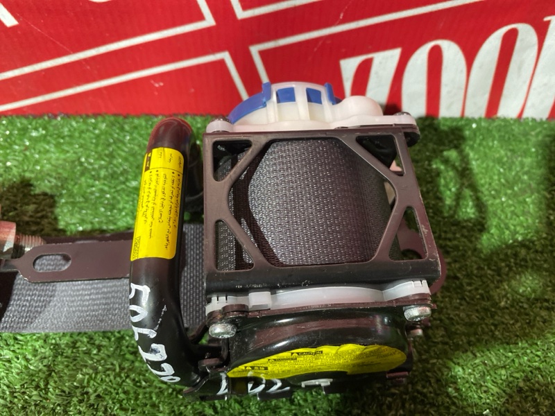 Ремень безопасности, 8000 рублей, Солонцы