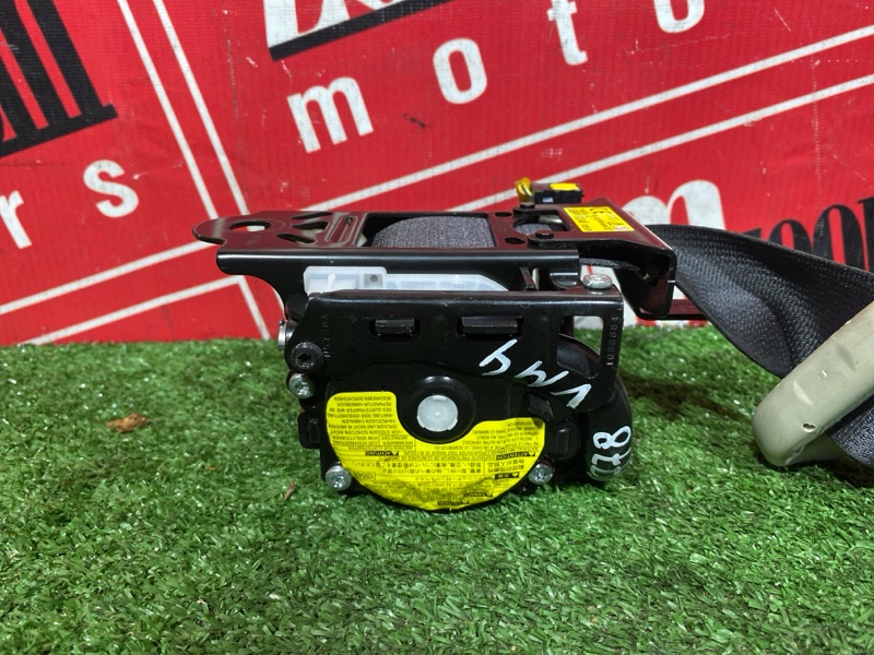 Ремень безопасности, 8000 рублей, Солонцы