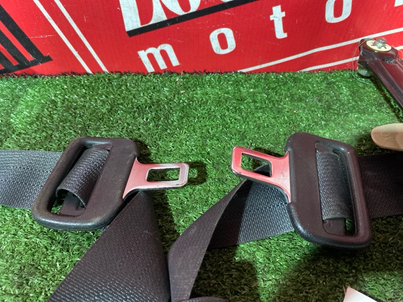 Ремень безопасности, 16000 рублей, Солонцы