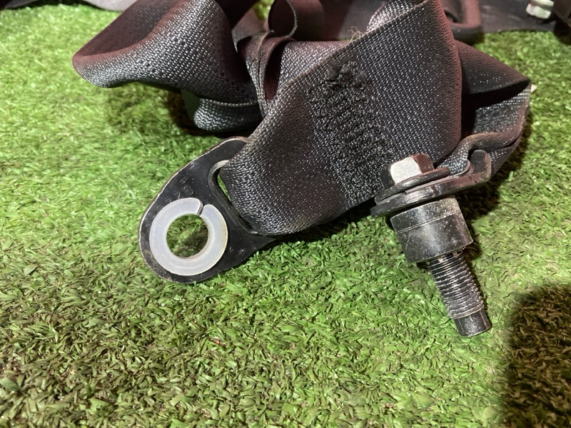 Ремень безопасности, 16000 рублей, Солонцы