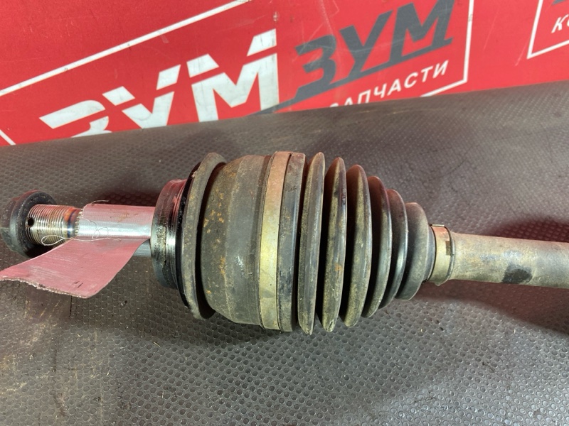 Привод, 10500 рублей, Солонцы