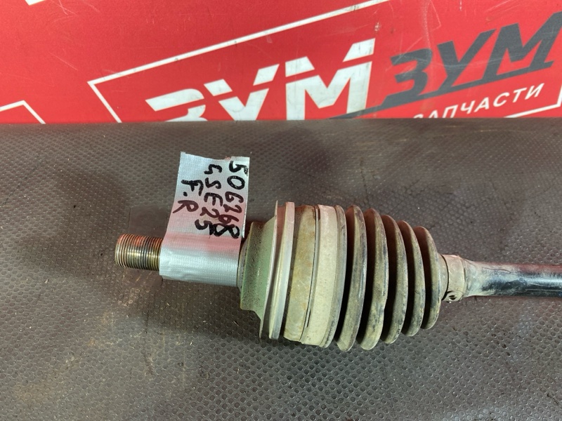 Привод, 5000 рублей, Солонцы