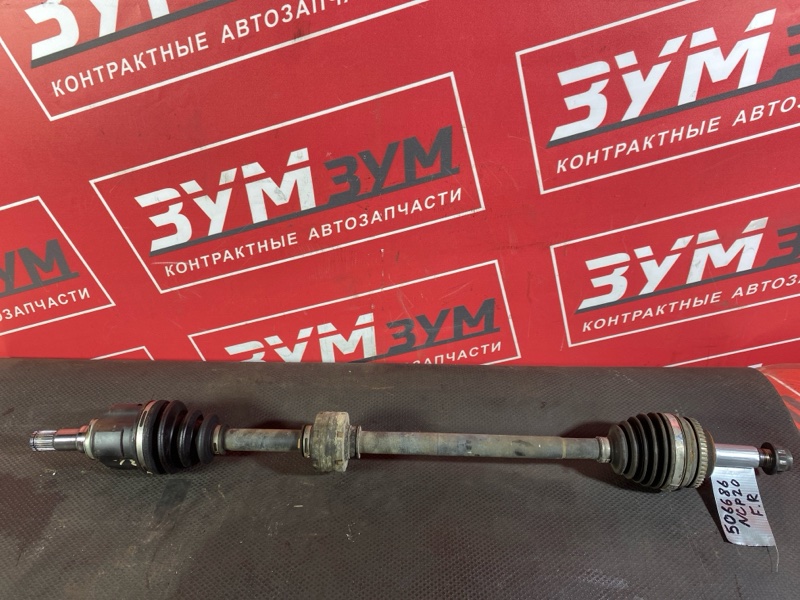 Привод, 1800 рублей, Солонцы