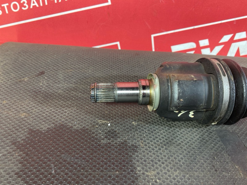 Привод, 1800 рублей, Солонцы