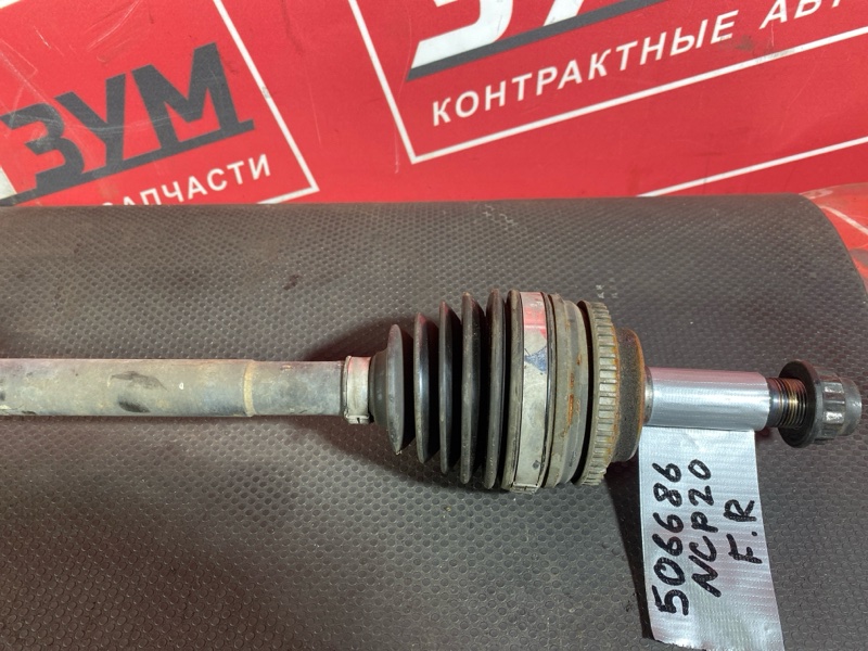 Привод, 1800 рублей, Солонцы