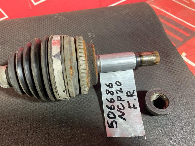 Привод, 1800 рублей, Солонцы