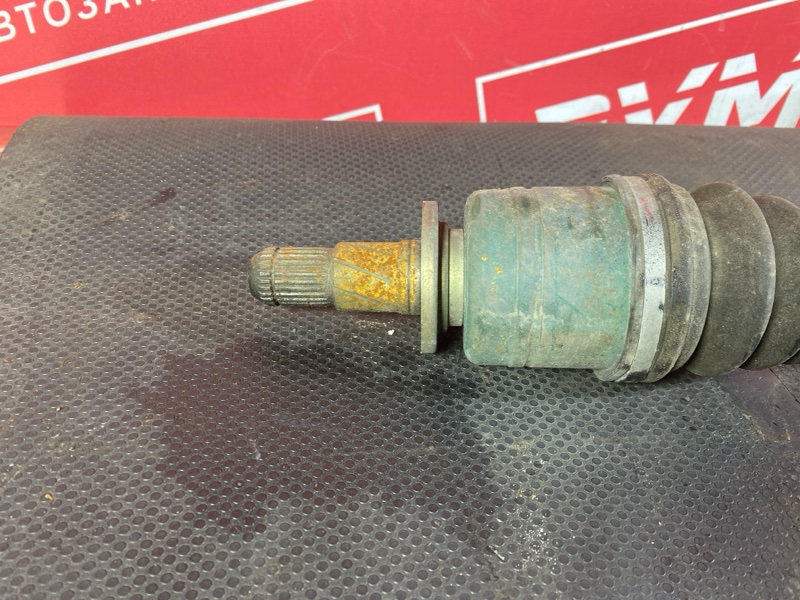 Привод, 1800 рублей, Солонцы