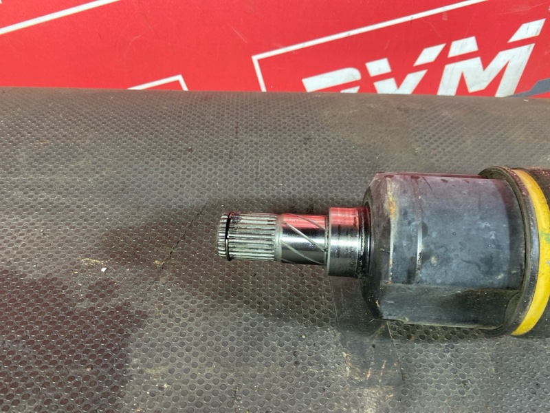 Привод, 3000 рублей, Солонцы