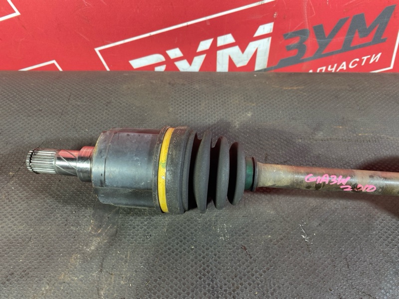 Привод, 3000 рублей, Солонцы