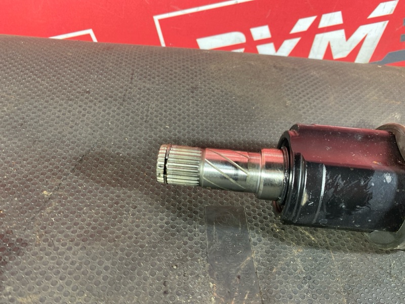 Привод, 10000 рублей, Солонцы