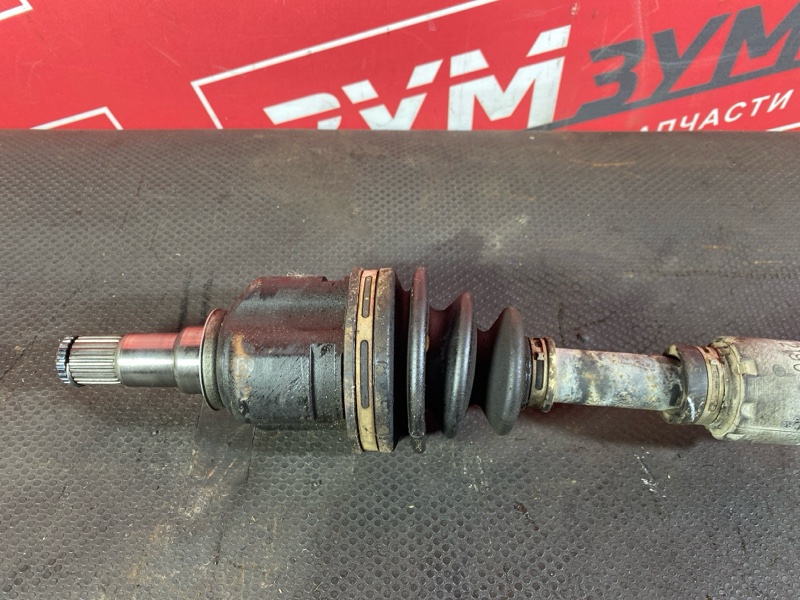 Привод, 5900 рублей, Солонцы