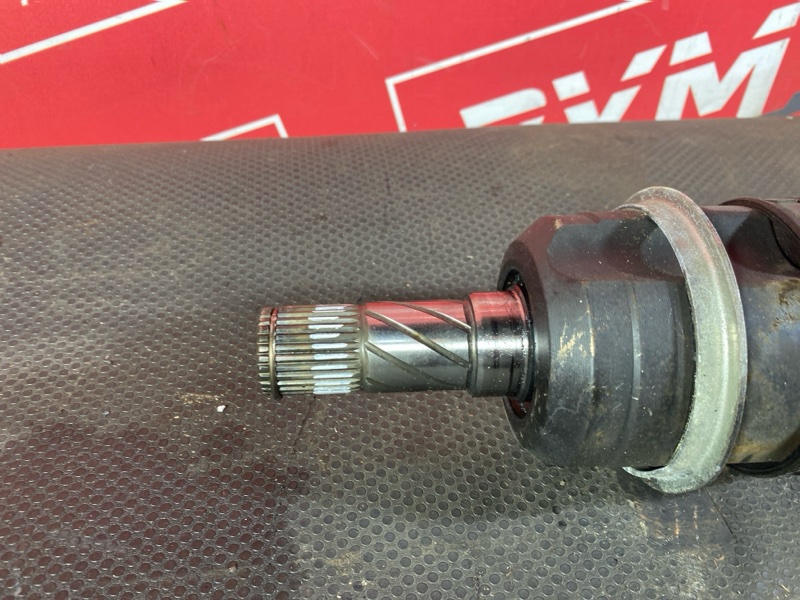 Привод, 3000 рублей, Солонцы