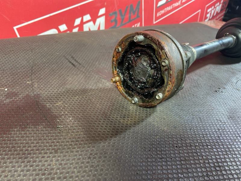 Привод, 8000 рублей, Солонцы