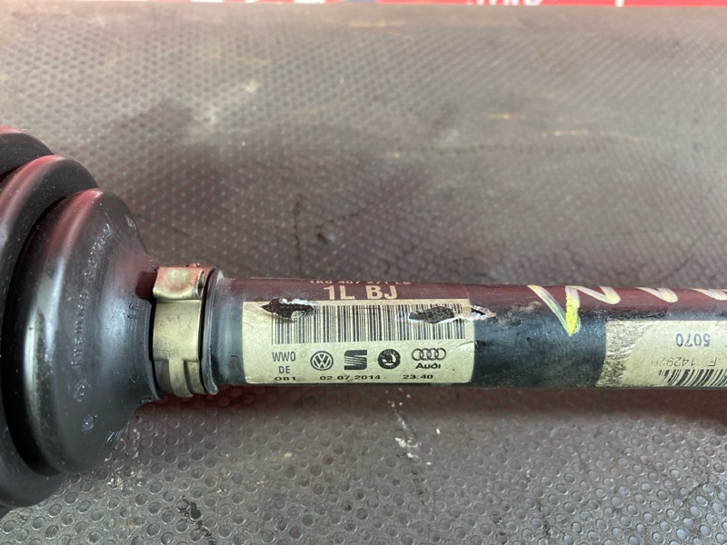 Привод, 8000 рублей, Солонцы