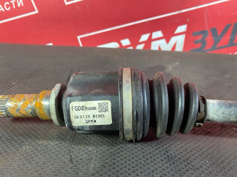 Привод, 8500 рублей, Солонцы