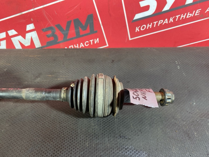 Привод, 4000 рублей, Солонцы