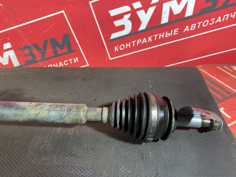 Привод, 3000 рублей, Солонцы