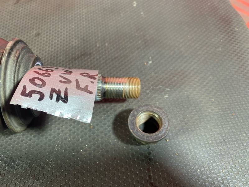 Привод, 3000 рублей, Солонцы