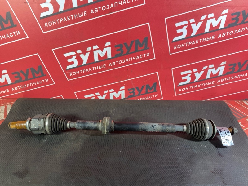 Привод, 3000 рублей, Солонцы