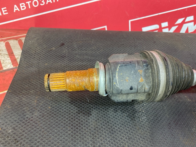 Привод, 3000 рублей, Солонцы