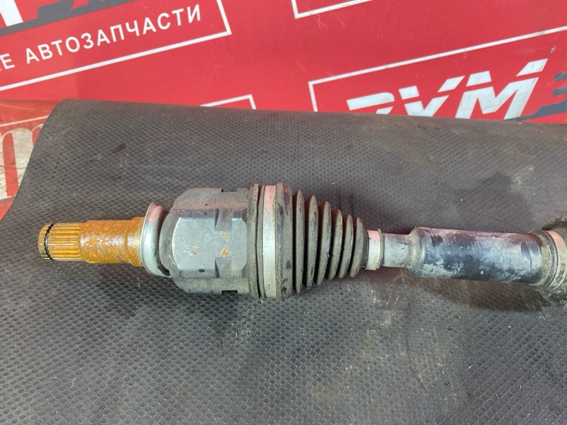 Привод, 3000 рублей, Солонцы