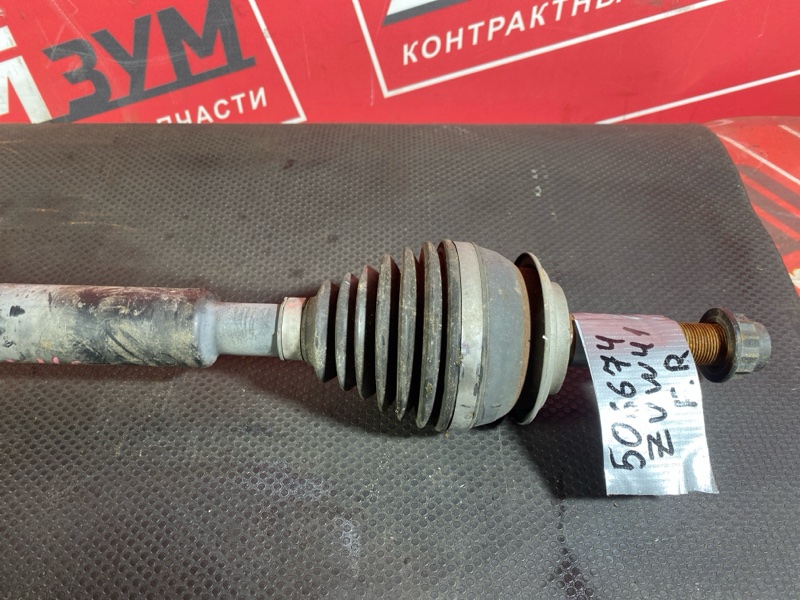 Привод, 3000 рублей, Солонцы