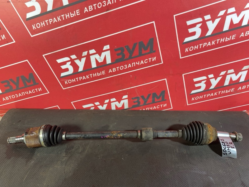 Привод, 3500 рублей, Солонцы