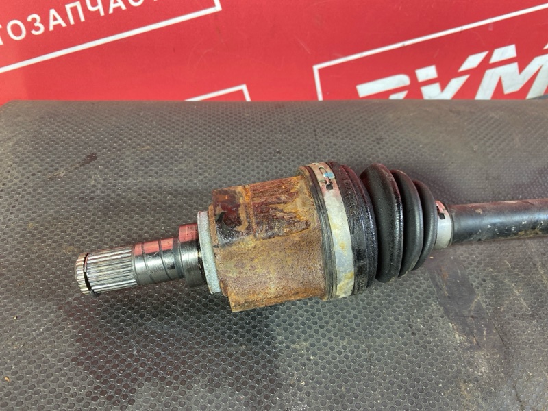 Привод, 3500 рублей, Солонцы