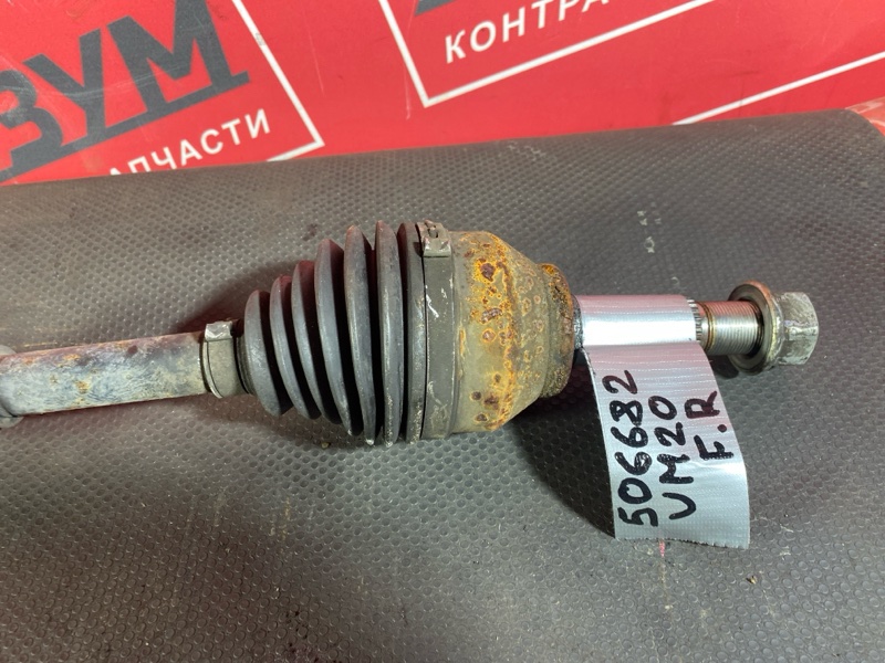 Привод, 3500 рублей, Солонцы