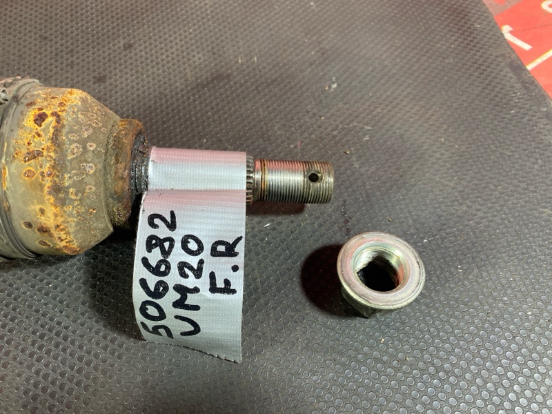 Привод, 3500 рублей, Солонцы