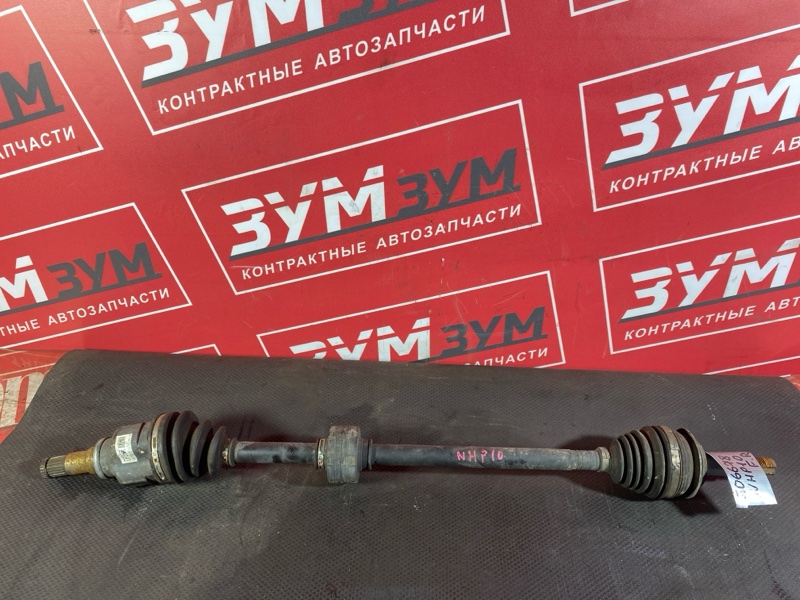 Привод, 4000 рублей, Солонцы