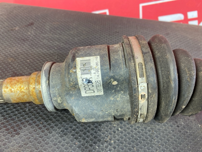 Привод, 4000 рублей, Солонцы