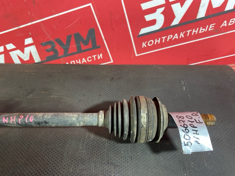 Привод, 4000 рублей, Солонцы