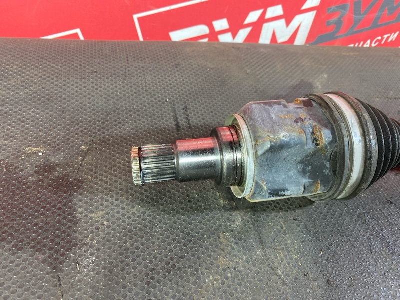 Привод, 4500 рублей, Солонцы