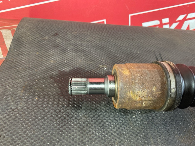 Привод, 1200 рублей, Солонцы