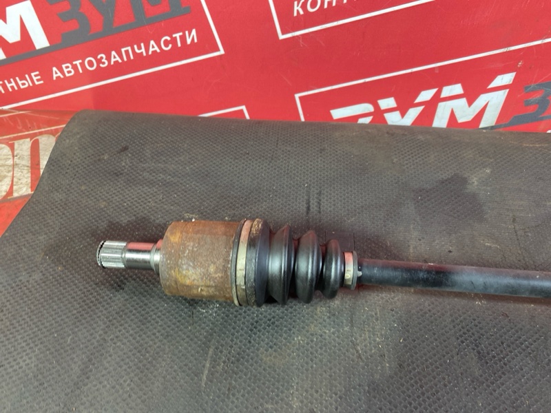 Привод, 1200 рублей, Солонцы