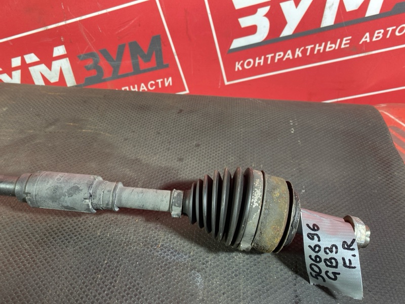 Привод, 1200 рублей, Солонцы