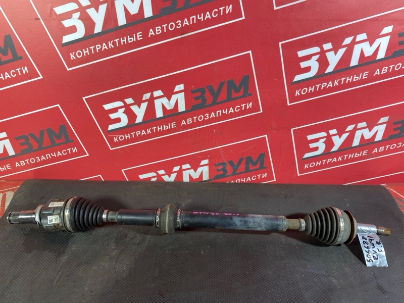 Привод, 3000 рублей, Солонцы