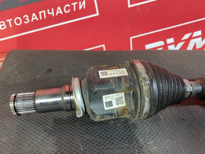 Привод, 3000 рублей, Солонцы