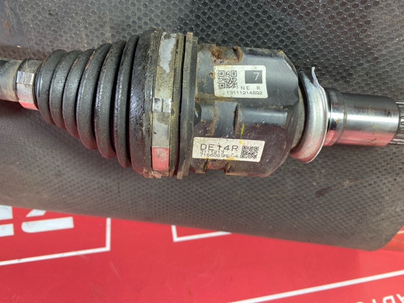 Привод, 3000 рублей, Солонцы