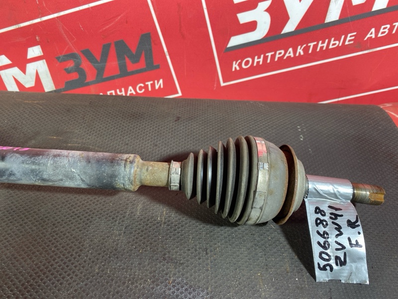 Привод, 3000 рублей, Солонцы