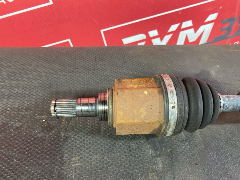 Привод, 2500 рублей, Солонцы