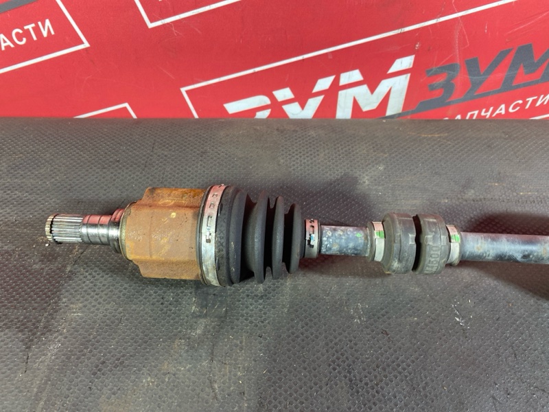 Привод, 2500 рублей, Солонцы