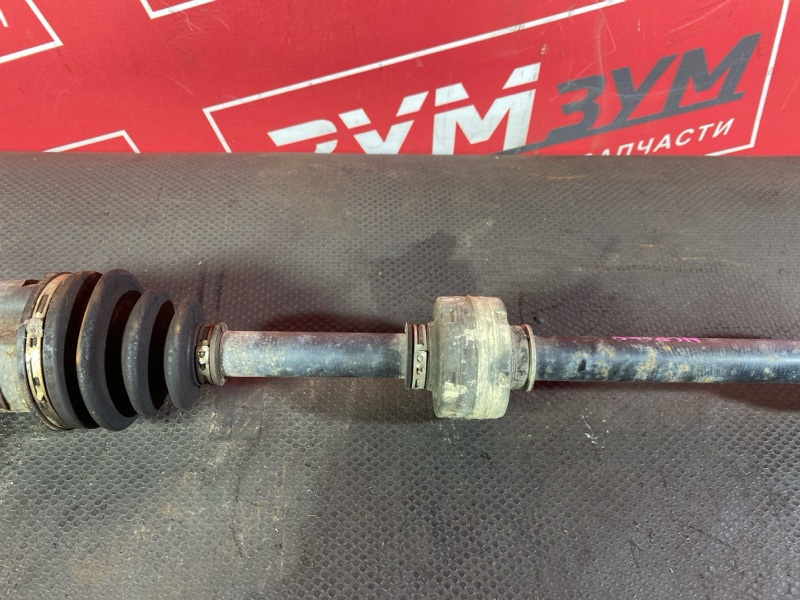 Привод, 5000 рублей, Солонцы