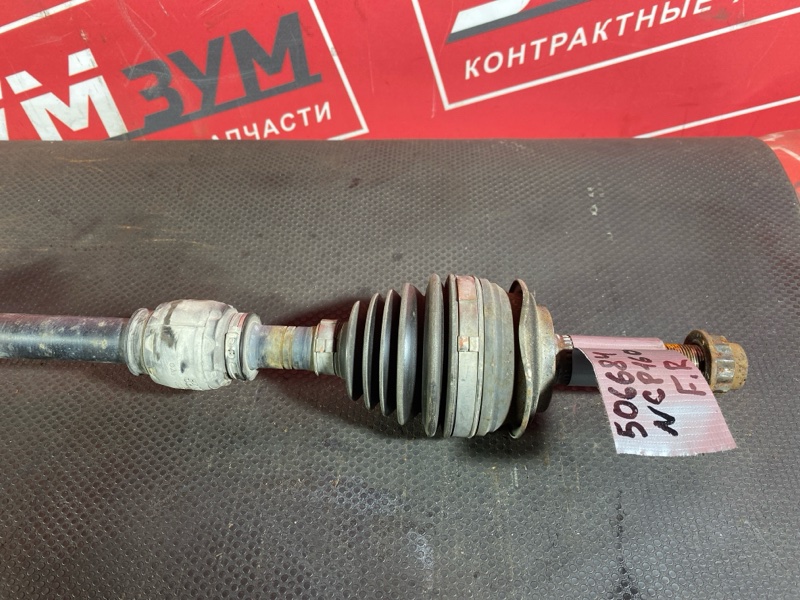 Привод, 5000 рублей, Солонцы