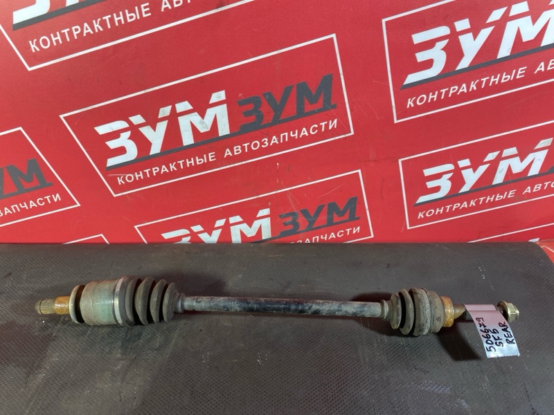 Привод, 1800 рублей, Солонцы