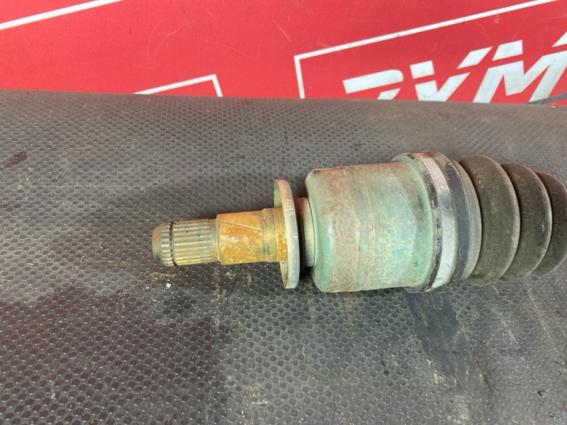 Привод, 1800 рублей, Солонцы